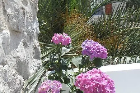 Urbana, Old Town Villa *